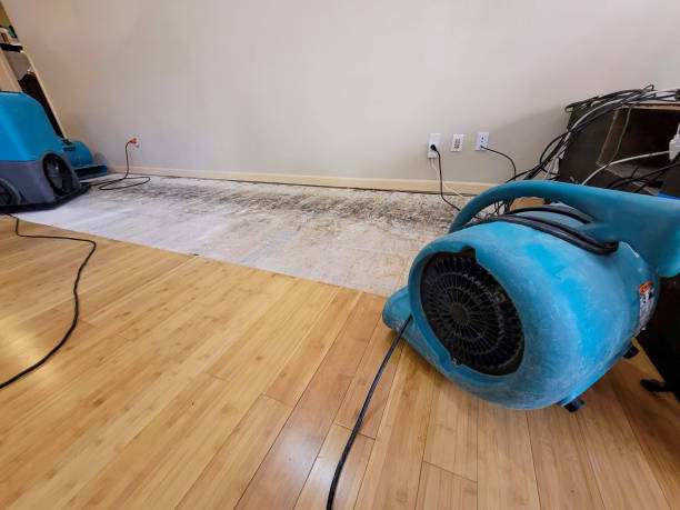 Professional Sewage Cleanup technician working in Glenview, KY